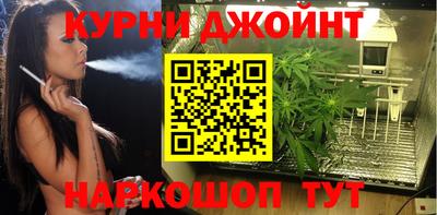 индика Вязьма