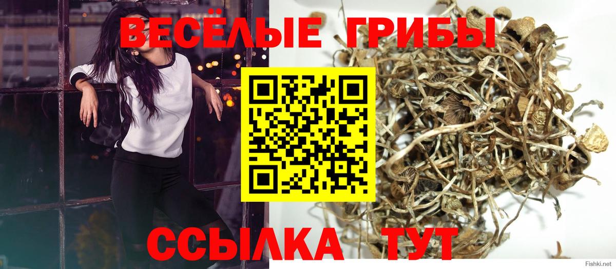 Гуково  Псилоцибиновые грибы GOLDEN TEACHER  Вход с VPN  Галлюциногенные грибы Cubensis 