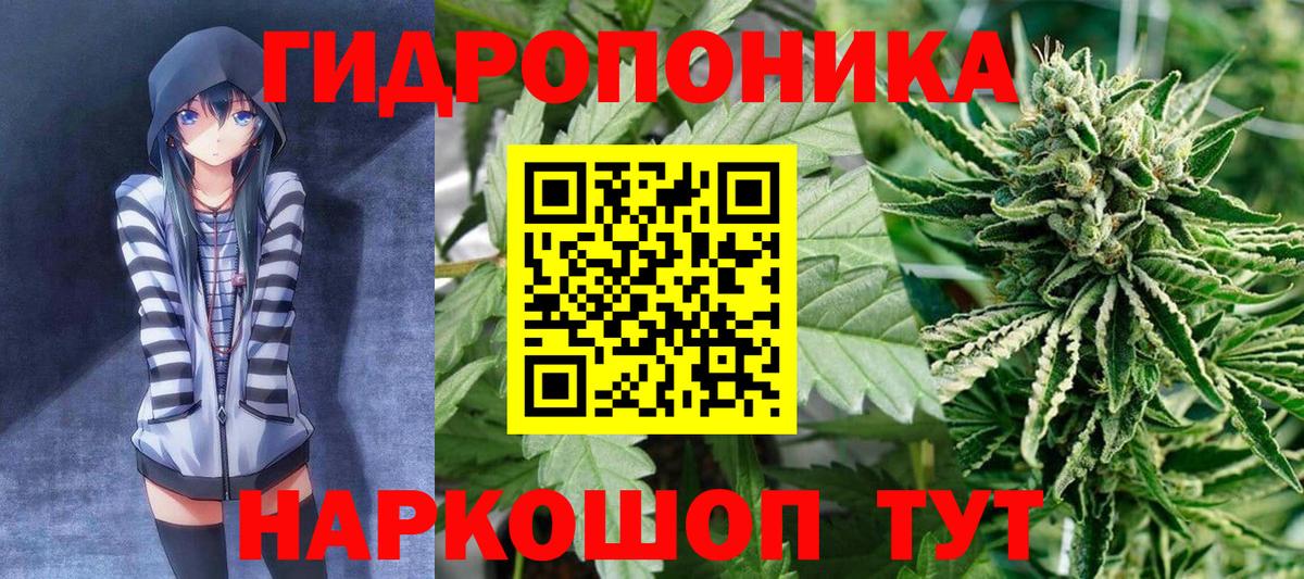 МАРИХУАНА сатива Гуково